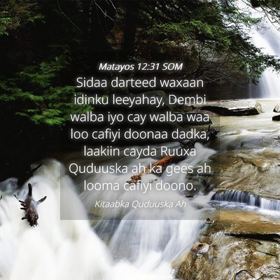Picture 04 - Matayos 12:31 SOM - Sidaa darteed waxaan idinku leeyahay, Dembi walba - Bible Verse Picture