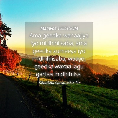 Picture 04 - Matayos 12:33 SOM - Ama geedka wanaajiya iyo midhihiisaba, ama geedka - Bible Verse Picture