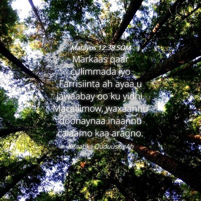 Picture 04 - Matayos 12:38 SOM - Markaas qaar culimmada iyo Farrisiinta ah ayaa u - Bible Verse Picture