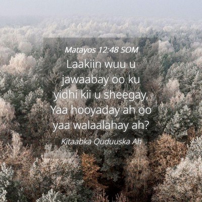 Picture 04 - Matayos 12:48 SOM - Laakiin wuu u jawaabay oo ku yidhi kii u sheegay, - Bible Verse Picture