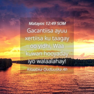 Picture 04 - Matayos 12:49 SOM - Gacantiisa ayuu xertiisa ku taagay oo yidhi, Waa - Bible Verse Picture