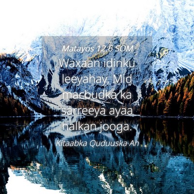 Picture 04 - Matayos 12:6 SOM - Waxaan idinku leeyahay, Mid macbudka ka sarreeya - Bible Verse Picture