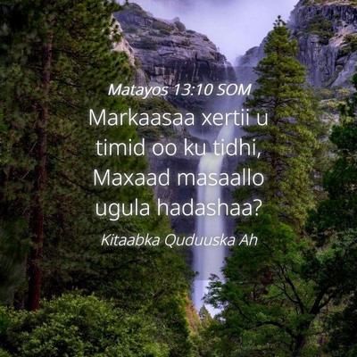 Picture 04 - Matayos 13:10 SOM - Markaasaa xertii u timid oo ku tidhi, Maxaad - Bible Verse Picture