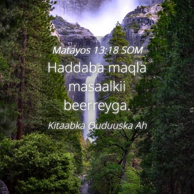 Picture 04 - Matayos 13:18 SOM - Haddaba maqla masaalkii - Bible Verse Picture