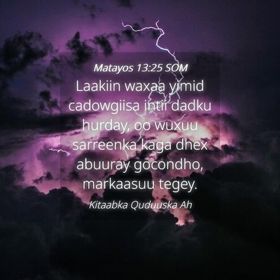 Picture 04 - Matayos 13:25 SOM - Laakiin waxaa yimid cadowgiisa intii dadku - Bible Verse Picture
