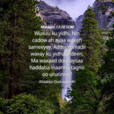 Picture 04 - Matayos 13:28 SOM - Wuxuu ku yidhi, Nin cadow ah ayaa waxan sameeyey. - Bible Verse Picture