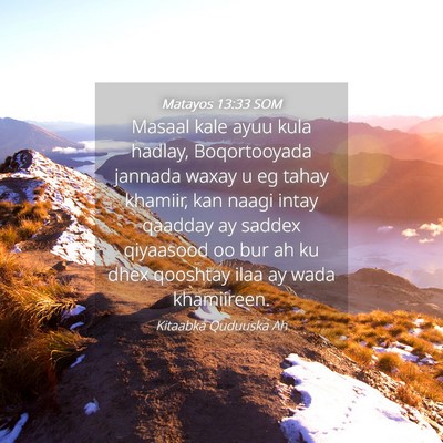 Picture 04 - Matayos 13:33 SOM - Masaal kale ayuu kula hadlay, Boqortooyada - Bible Verse Picture