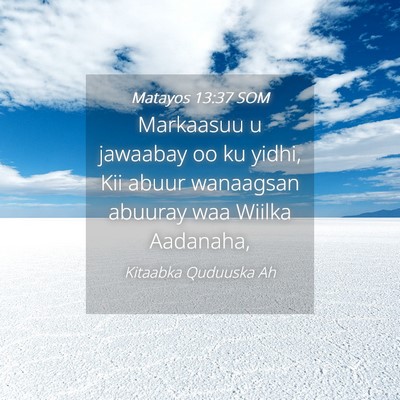 Picture 04 - Matayos 13:37 SOM - Markaasuu u jawaabay oo ku yidhi, Kii abuur - Bible Verse Picture