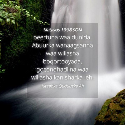 Picture 04 - Matayos 13:38 SOM - beertuna waa dunida. Abuurka wanaagsanna waa - Bible Verse Picture
