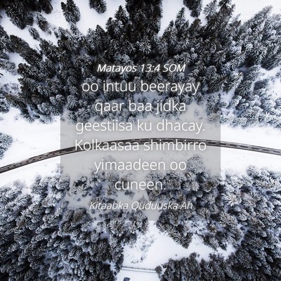 Picture 04 - Matayos 13:4 SOM - oo intuu beerayay qaar baa jidka geestiisa ku - Bible Verse Picture
