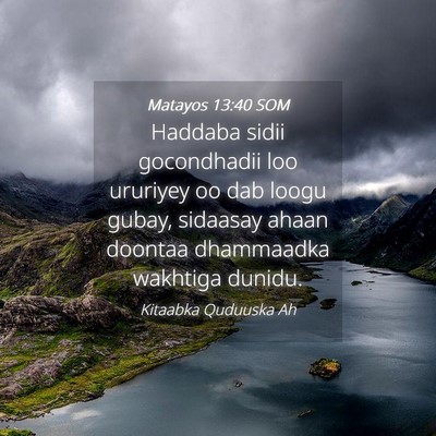 Picture 04 - Matayos 13:40 SOM - Haddaba sidii gocondhadii loo ururiyey oo dab - Bible Verse Picture