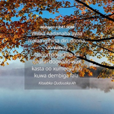 Picture 04 - Matayos 13:41 SOM - Wiilka Aadanaha ayaa malaa'igihiisa diri doona, - Bible Verse Picture