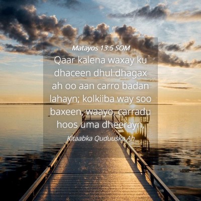 Picture 04 - Matayos 13:5 SOM - Qaar kalena waxay ku dhaceen dhul dhagax ah oo - Bible Verse Picture