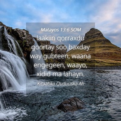 Picture 04 - Matayos 13:6 SOM - laakiin qorraxdu goortay soo baxday way gubteen, - Bible Verse Picture