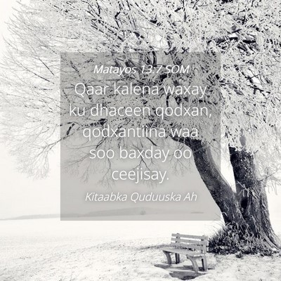 Picture 04 - Matayos 13:7 SOM - Qaar kalena waxay ku dhaceen qodxan, qodxantiina - Bible Verse Picture