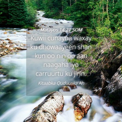 Picture 04 - Matayos 14:21 SOM - Kuwii cunayna waxay ku dhowaayeen shan kun oo nin - Bible Verse Picture