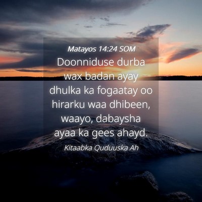 Picture 04 - Matayos 14:24 SOM - Doonniduse durba wax badan ayay dhulka ka - Bible Verse Picture