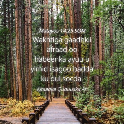 Picture 04 - Matayos 14:25 SOM - Wakhtiga gaadhkii afraad oo habeenka ayuu u yimid - Bible Verse Picture