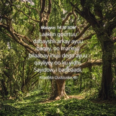 Picture 04 - Matayos 14:30 SOM - Laakiin goortuu dabayshii arkay ayuu baqay, oo - Bible Verse Picture