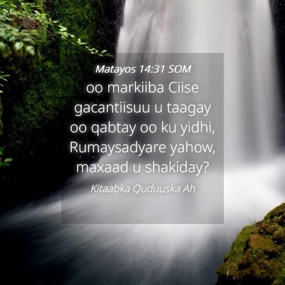 Picture 04 - Matayos 14:31 SOM - oo markiiba Ciise gacantiisuu u taagay oo qabtay - Bible Verse Picture