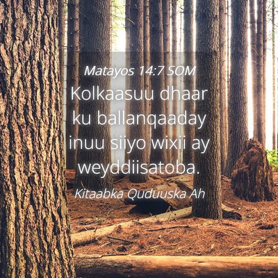 Picture 04 - Matayos 14:7 SOM - Kolkaasuu dhaar ku ballanqaaday inuu siiyo wixii - Bible Verse Picture
