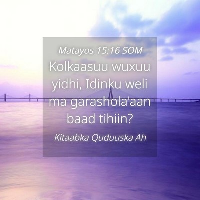 Picture 04 - Matayos 15:16 SOM - Kolkaasuu wuxuu yidhi, Idinku weli ma - Bible Verse Picture