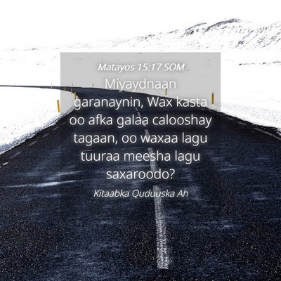 Picture 04 - Matayos 15:17 SOM - Miyaydnaan garanaynin, Wax kasta oo afka galaa - Bible Verse Picture