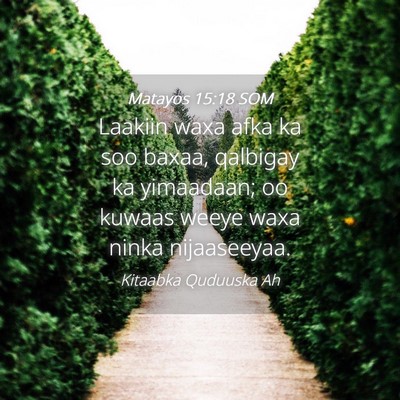 Picture 04 - Matayos 15:18 SOM - Laakiin waxa afka ka soo baxaa, qalbigay ka - Bible Verse Picture