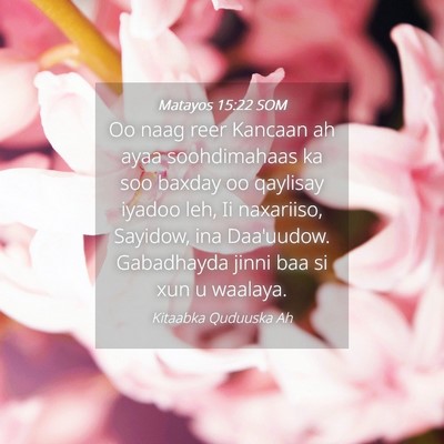 Picture 04 - Matayos 15:22 SOM - Oo naag reer Kancaan ah ayaa soohdimahaas ka soo - Bible Verse Picture