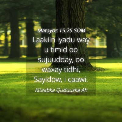 Picture 04 - Matayos 15:25 SOM - Laakiin iyadu way u timid oo sujuudday, oo waxay - Bible Verse Picture