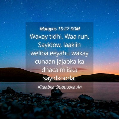Picture 04 - Matayos 15:27 SOM - Waxay tidhi, Waa run, Sayidow, laakiin weliba - Bible Verse Picture