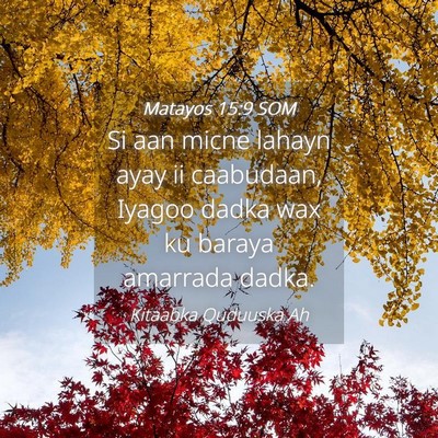 Picture 04 - Matayos 15:9 SOM - Si aan micne lahayn ayay ii caabudaan, Iyagoo - Bible Verse Picture