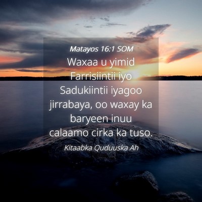 Picture 04 - Matayos 16:1 SOM - Waxaa u yimid Farrisiintii iyo Sadukiintii iyagoo - Bible Verse Picture