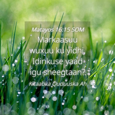Picture 04 - Matayos 16:15 SOM - Markaasuu wuxuu ku yidhi, Idinkuse yaad igu - Bible Verse Picture