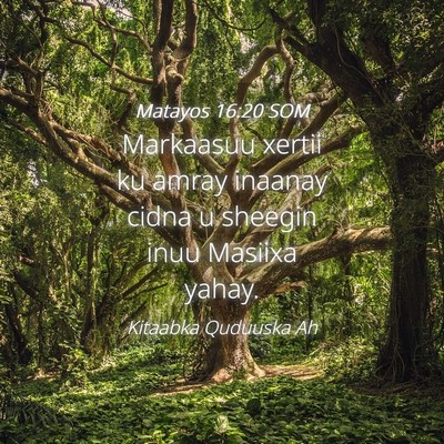 Picture 04 - Matayos 16:20 SOM - Markaasuu xertii ku amray inaanay cidna u sheegin - Bible Verse Picture