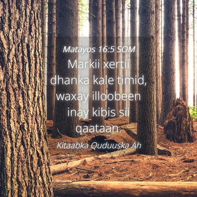 Picture 04 - Matayos 16:5 SOM - Markii xertii dhanka kale timid, waxay illoobeen - Bible Verse Picture