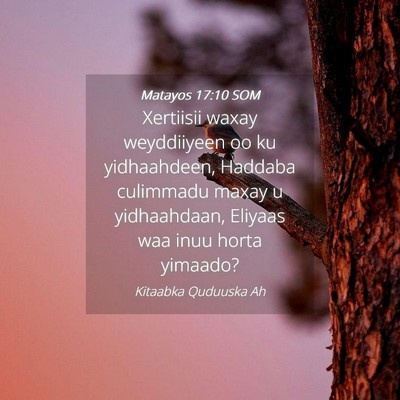 Picture 04 - Matayos 17:10 SOM - Xertiisii waxay weyddiiyeen oo ku yidhaahdeen, - Bible Verse Picture