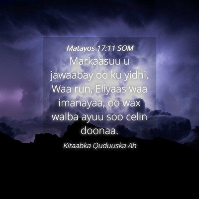 Picture 04 - Matayos 17:11 SOM - Markaasuu u jawaabay oo ku yidhi, Waa run, - Bible Verse Picture
