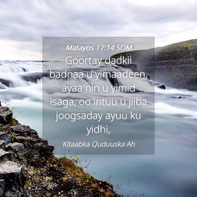 Picture 04 - Matayos 17:14 SOM - Goortay dadkii badnaa u yimaadeen, ayaa nin u - Bible Verse Picture