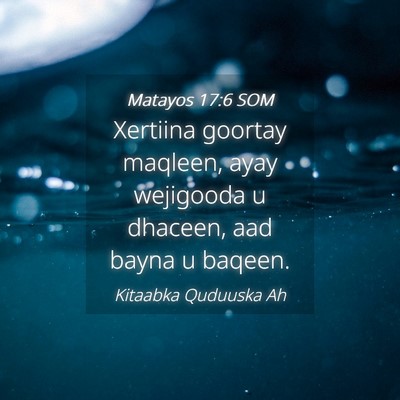 Picture 04 - Matayos 17:6 SOM - Xertiina goortay maqleen, ayay wejigooda u - Bible Verse Picture