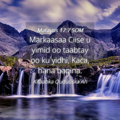 Picture 04 - Matayos 17:7 SOM - Markaasaa Ciise u yimid oo taabtay oo ku yidhi, - Bible Verse Picture