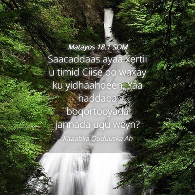 Picture 04 - Matayos 18:1 SOM - Saacaddaas ayaa xertii u timid Ciise oo waxay ku - Bible Verse Picture