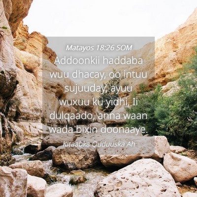 Picture 04 - Matayos 18:26 SOM - Addoonkii haddaba wuu dhacay, oo intuu sujuuday, - Bible Verse Picture