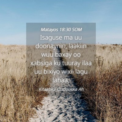 Picture 04 - Matayos 18:30 SOM - Isaguse ma uu doonaynin, laakiin wuu baxay oo - Bible Verse Picture