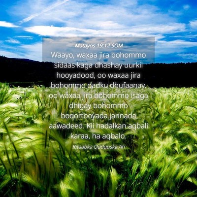 Picture 04 - Matayos 19:12 SOM - Waayo, waxaa jira bohommo sidaas kaga dhashay - Bible Verse Picture