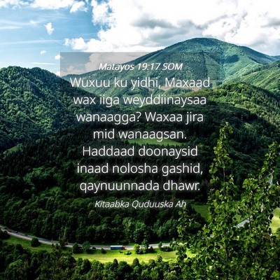 Picture 04 - Matayos 19:17 SOM - Wuxuu ku yidhi, Maxaad wax iiga weyddiinaysaa - Bible Verse Picture