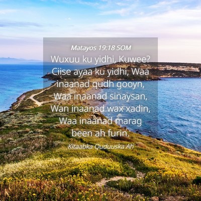 Picture 04 - Matayos 19:18 SOM - Wuxuu ku yidhi, Kuwee? Ciise ayaa ku yidhi, Waa - Bible Verse Picture