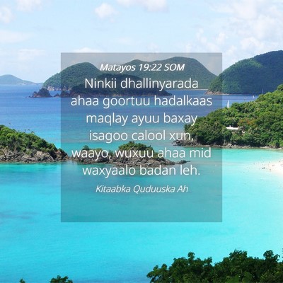 Picture 04 - Matayos 19:22 SOM - Ninkii dhallinyarada ahaa goortuu hadalkaas - Bible Verse Picture