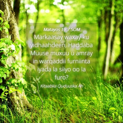 Picture 04 - Matayos 19:7 SOM - Markaasay waxay ku yidhaahdeen, Haddaba Muuse - Bible Verse Picture