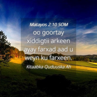 Picture 04 - Matayos 2:10 SOM - oo goortay xiddigtii arkeen ayay farxad aad u - Bible Verse Picture